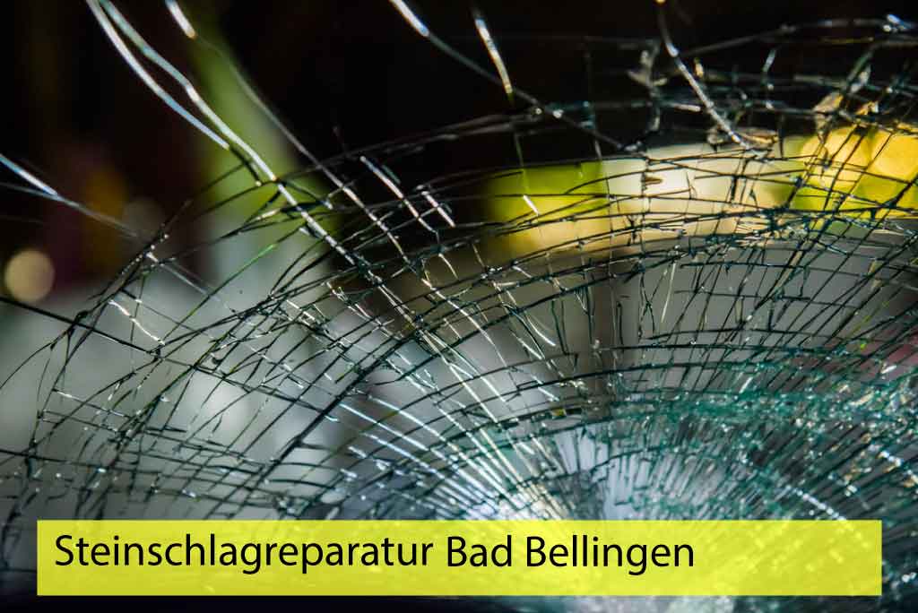 Steinschlagreparatur Bad Bellingen