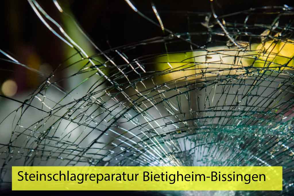Steinschlagreparatur Bietigheim-Bissingen