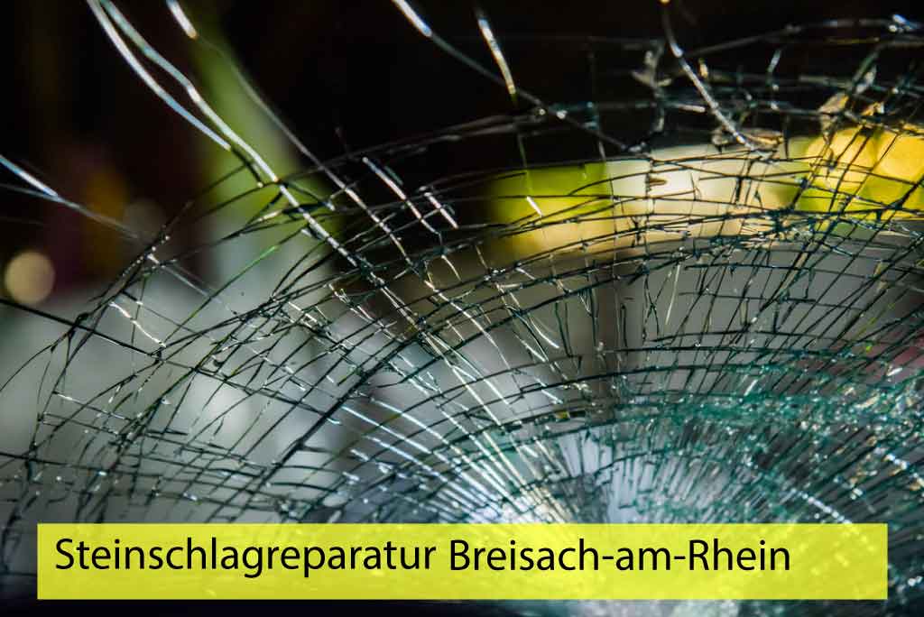 Steinschlagreparatur Breisach-am-Rhein