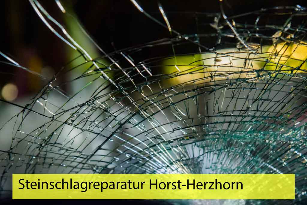 Steinschlagreparatur Horst-Herzhorn