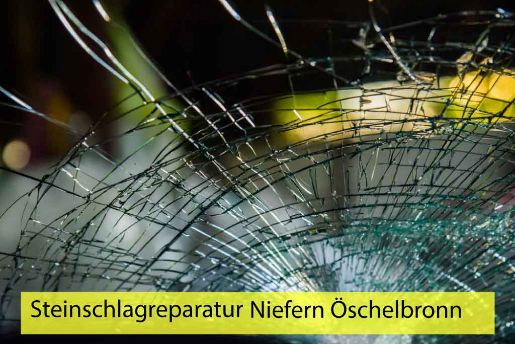 Steinschlagreparatur Niefern Öschelbronn