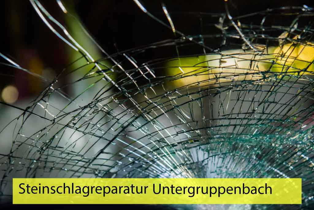 Steinschlagreparatur Untergruppenbach