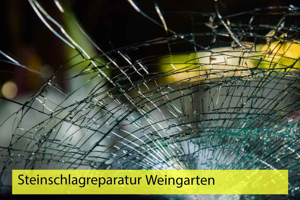 Steinschlagreparatur Weingarten