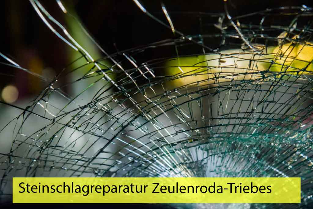 Steinschlagreparatur Zeulenroda-Triebes